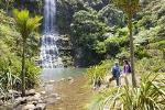 Waitakere Ranges Guided Walk from Auckland