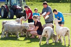 Agrodome Sheep Show and Farm Tour