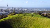 Half-day Discover Auckland City Sightseeing Tour