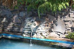 Lake Rotorua Hot Springs and Jet Boat Tour