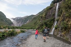 Franz Josef Glacier Valley Eco Tour