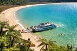 Abel Tasman National Park Cruise and Forest Walk