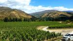 Full-Day Small-Group Guided Wine Tour in Central Otago