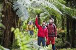 3-Day Hollyford Track Guided Walk with Scenic Helicopter Flight