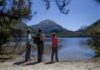 Ultimate Nature Experience from Queenstown: Dart River Jet Boat Ride and Lake Sylvan Hike