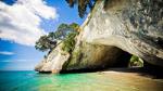 Coromandel Wanderer Tour from Auckland in small groups