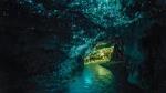 Auckland to Rotorua via Waitomo Caves Tour one way (small groups)