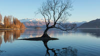 Experience Wanaka Tour from Queenstown (Small groups)