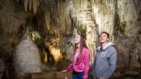 Waitomo Glowworms Caves Adventure from Auckland (Small Groups)