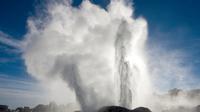 Rotorua including (Te Puia) Tour from Auckland in Small Groups
