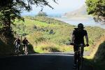 Otago Peninsula Bike Tour from Dunedin