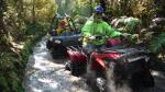 Quad Tour on the Enchanted Forest Track in Greymouth