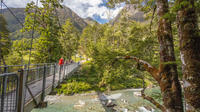 Half-Day Routeburn Track Guided Walk from Queenstown
