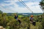 Auckland Shore Excursion: Waiheke Island Tour With Zipline Adventure