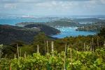 The Best of Waiheke: Ziplining, Wine Tasting and Vineyard Lunch