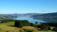 Otago Peninsula Scenic and City Highlights Tour