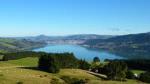 Otago Peninsula Scenic and City Highlights Tour