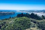 Shore Excursion: Otago Peninsula Scenery and City Highlights Tour