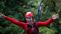 Ultimate Rotorua Forest Zipline Canopy Adventure