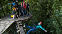 Original Rotorua Forest Zip Line Canopy Adventure