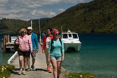Marlborough Sounds Cruise & 3-Hour Scenic Walk