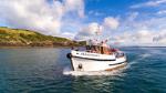 Explore the Bay of Islands Scenic Cruise from Russell