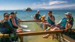 Waka Paddling Tour: Toka Ngawha Split Apple Rock from Kaiteriteri