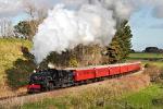 Picton Shore Excursion: Marlborough Flyer Train Tour