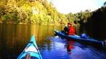 Wairoa River Kayak Tour