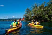 Lake Rotoiti Hot Pools and Glowworm Cave Kayak Tour from Rotorua