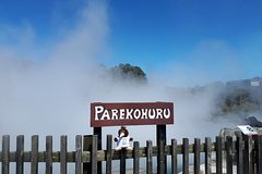 Private Tour : Hobbiton & Rotorua with Cultural Experience from Tauranga