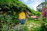 Tauranga Shore Excursion: Lord of the Rings Hobbiton Movie Set Tour