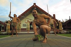 Tauranga Shore Excursion: Te Puia Maori Cultural Centre and Rotorua City Sightseeing