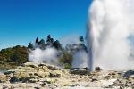 Tauranga Shore Excursion: Rotorua Highlights