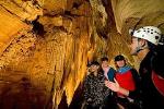 Private chauffeured Tour of Waitomo Caves