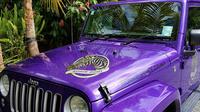 Half-Day Bay of Islands Private Jeep Art Safari