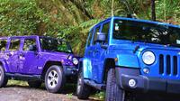 4-Hour Bay of Islands Private Jeep Forest Tour
