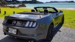 Half-Day Bay of Islands Private Mustang V8 Tour