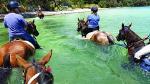 2-Hour Beach Horse Ride Experience on Waiheke Island