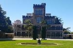 Dunedin's only locally owned and operated daily trip to Larnach Castle