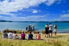 Private Charter - Bay of Islands Cruise & Island Tour