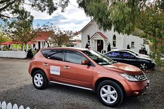 Private Personalized Car Tour of Napier with Guide