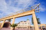 Napier City Art Deco & Wine Highlights - 4 Hour Private Tour