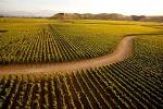 Napier City & Hawke's Bay Wine Country Tour - 5 Hour Private Tour