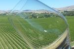 Relaxed Fun Full Day Wine Tour from Blenheim