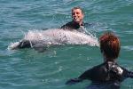 Akaroa Dolphin Swimming and Alpaca Farm Day Tour from Christchurch