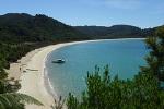 Top of the South Island Walks