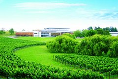 Villa Maria Wine Tour and Airport Shuttle from Auckland