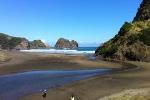 Piha and Karekare Rainforest Wine Tour from Auckland