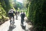 Wellington Shore Excursion: Rimutaka Rail Trail Bike Ride
